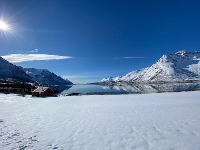 Unique And Charming House At The Foot Of Lofoten'S Highest Mountain Svolvær Exterior foto